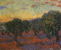 Gogh, Vincent van - Olive Grove, Orange Sky